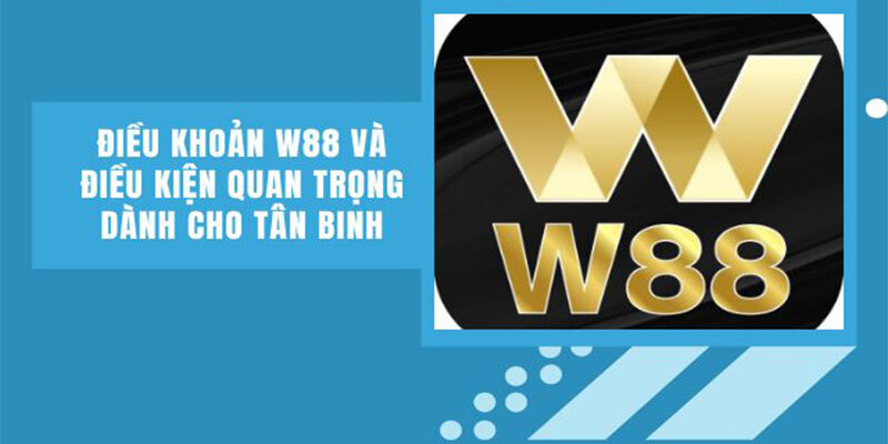 Chính sách điều khoản sử dụng dịch vụ mà tân binh W88 cần nắm rõ