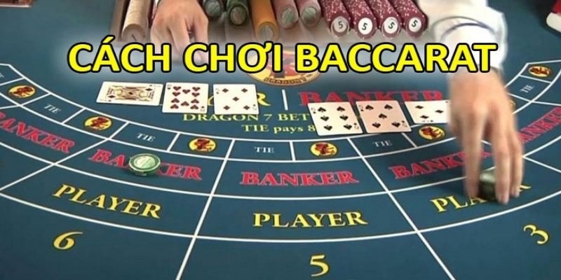 Hướng dẫn cách chơi baccarat tại W88 cơ bản