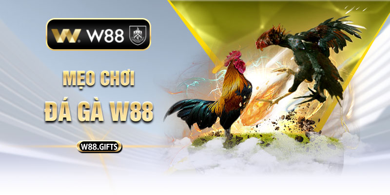 mẹo chơi đá gà W88